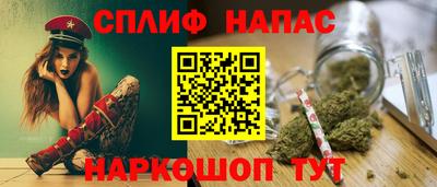 гашик Будённовск
