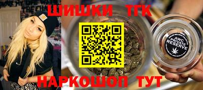 гашик Будённовск