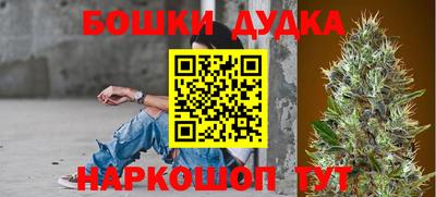 гашик Будённовск