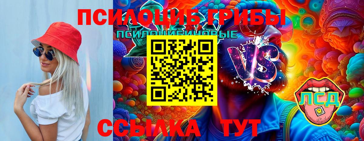 Шахты  Галлюциногенные грибы Cubensis  Вход с VPN 